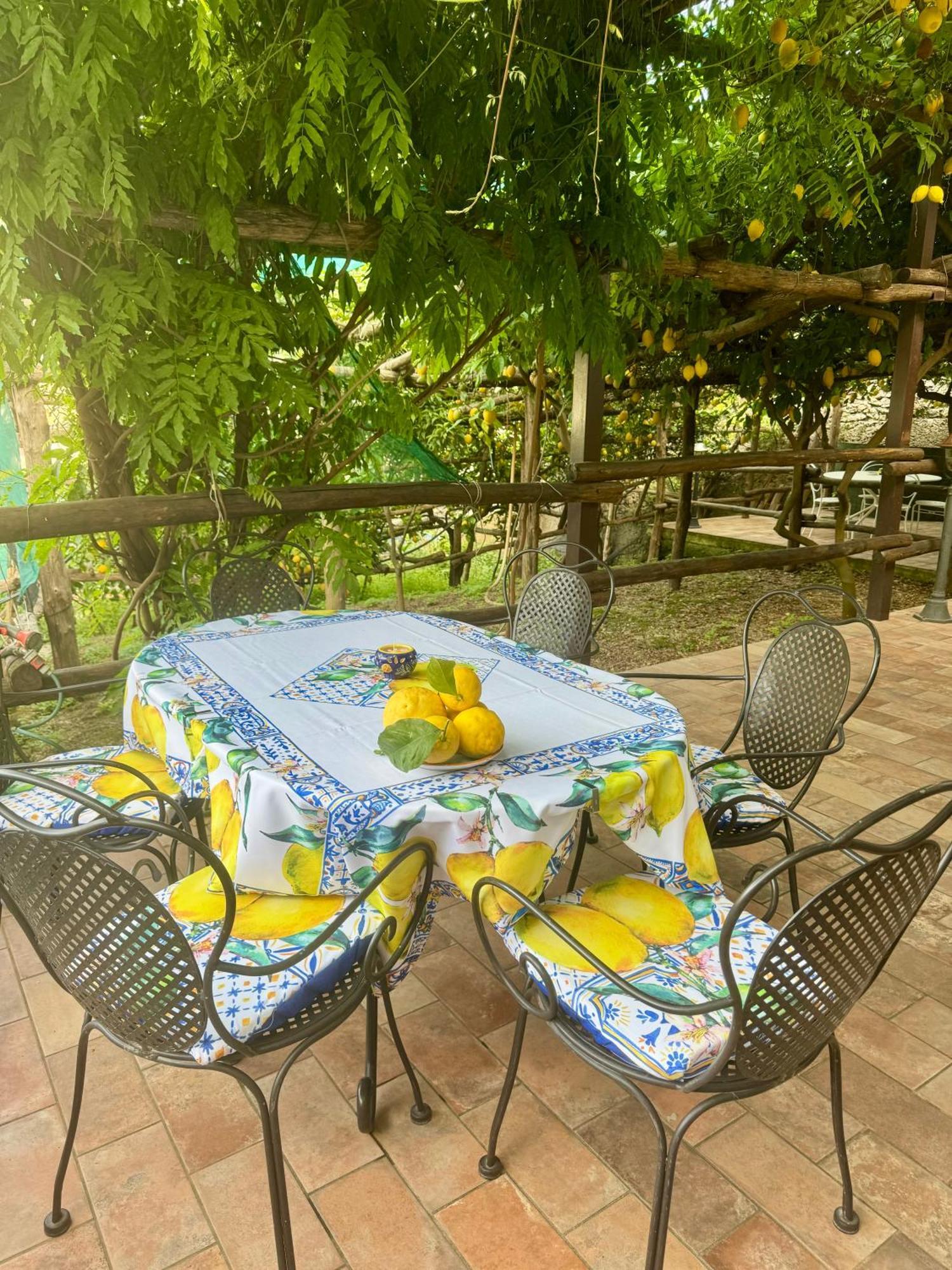 マイオーリIl Limoneto Di Teresa Amalfi Coastアパートメント エクステリア 写真